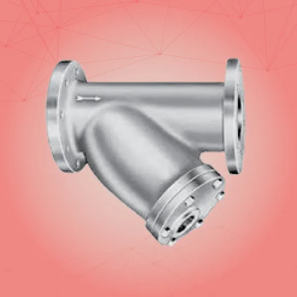 Y Type Strainers