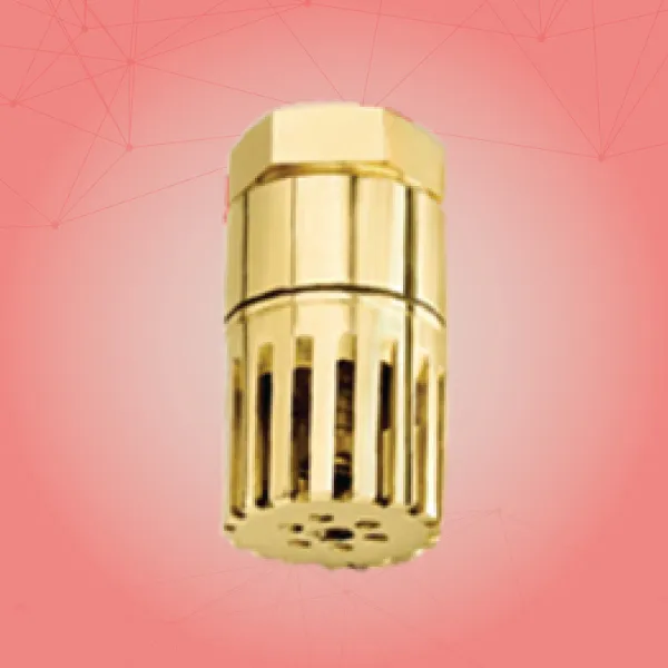 Brass Foot Valve