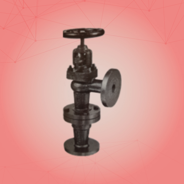 Accessible Feed Check Valve