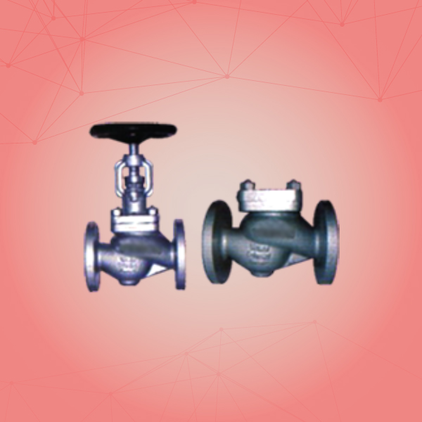 Globe Steam Stop Valve