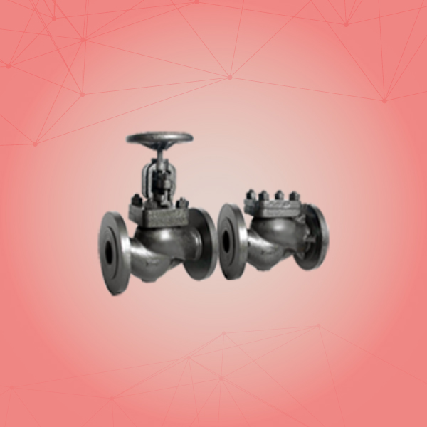 Globe Steam Stop Valve