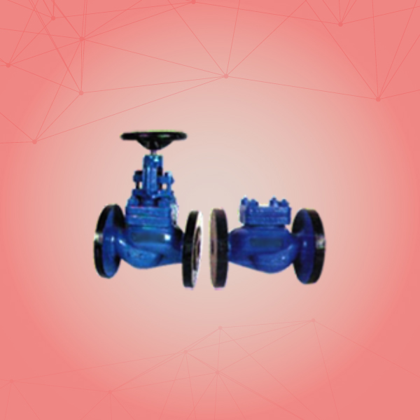 Globe Steam Stop Valve