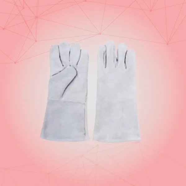 Leather hand gloves Supplier in Ahmedabad